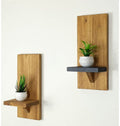 Set of 2 Minimalist Wall Display for Succulents & Indoor Plants