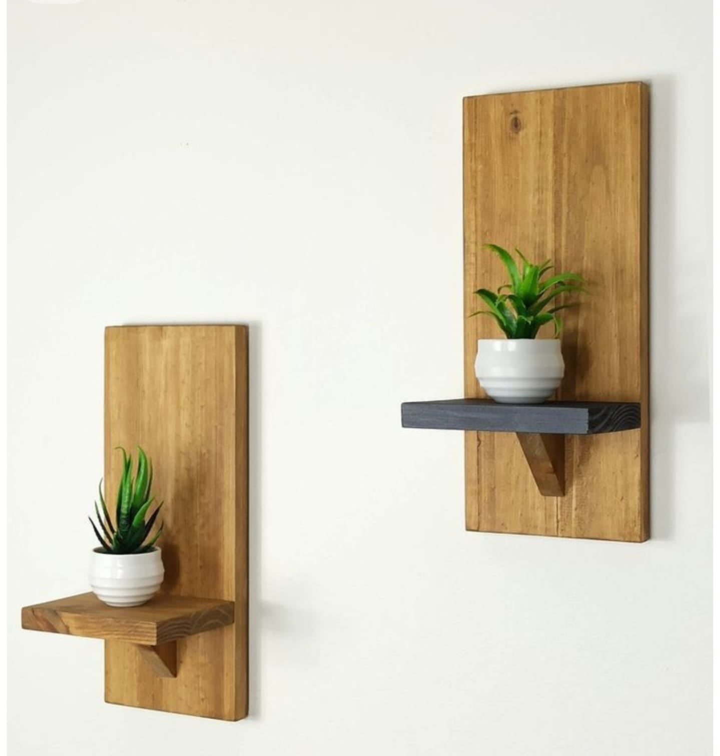 Set of 2 Minimalist Wall Display for Succulents & Indoor Plants